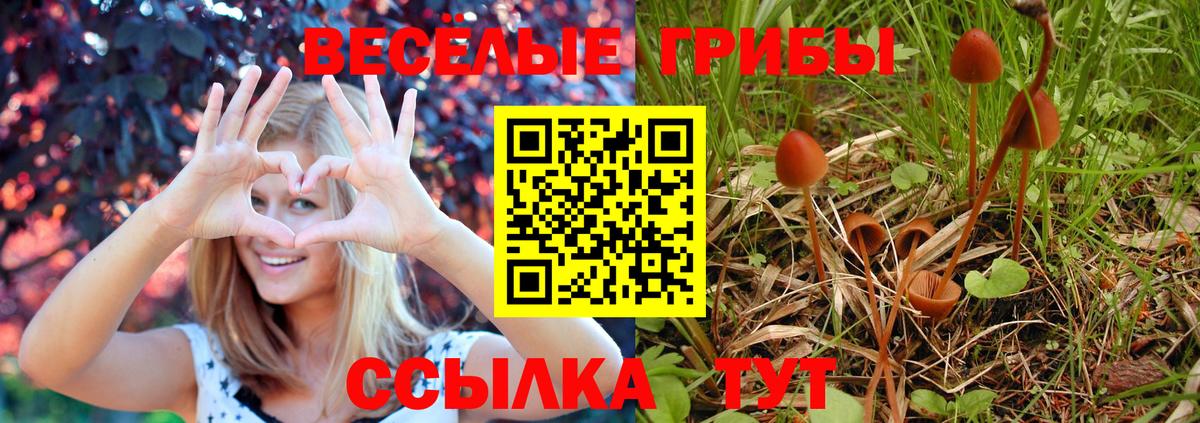 Галлюциногенные грибы прущие грибы  Галлюциногенные грибы Psilocybine cubensis  Вход с VPN  Обь 
